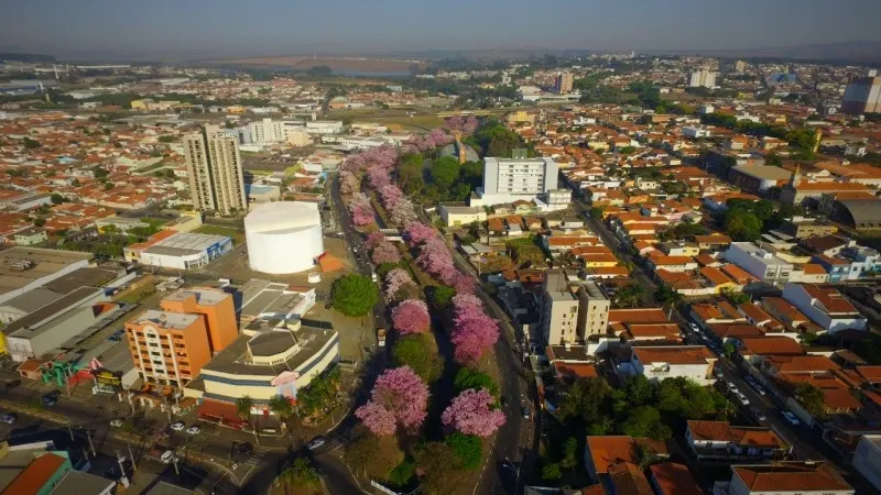 Vista aérea de Araras/SP com ipês floridos
